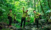 Protecting forests, building a green future: From exploitation to conservation